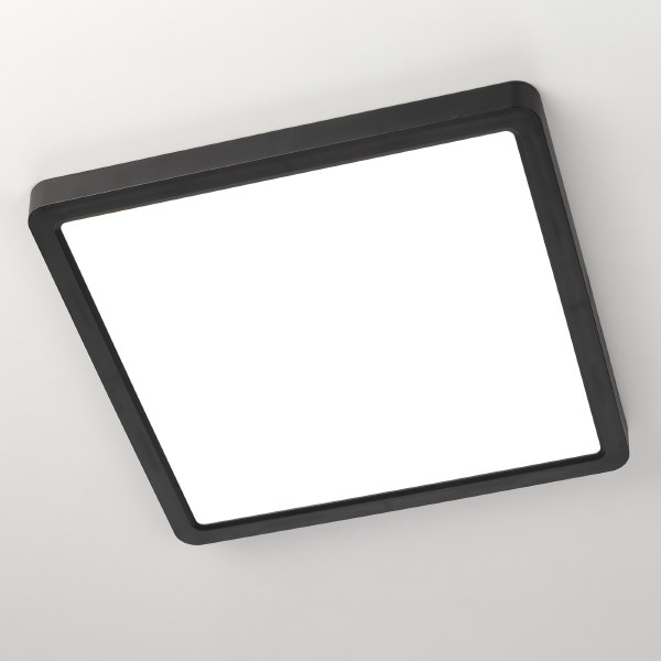 Светильник потолочный Бейсик CL738K241V