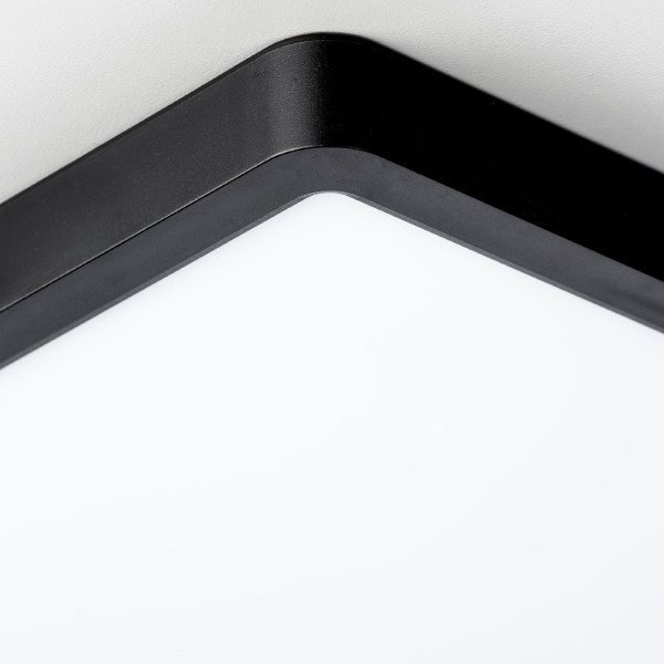 Светильник потолочный Бейсик CL738K241V