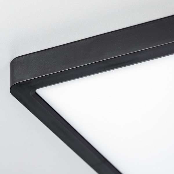 Светильник потолочный Бейсик CL738K241V