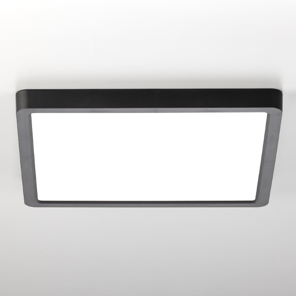 Светильник потолочный Бейсик CL738K241V