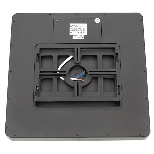 Светильник потолочный Бейсик CL738K241V