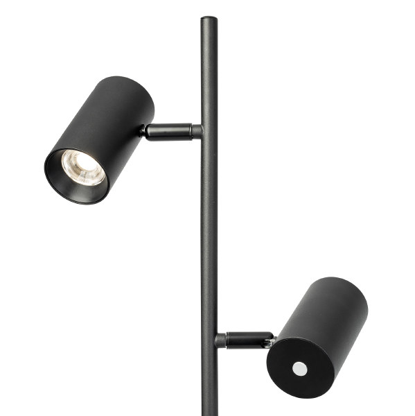 Торшер Twin CL809011N