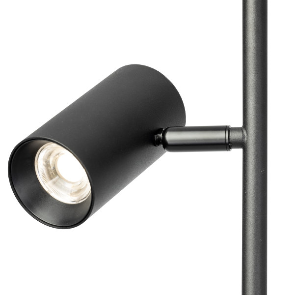 Торшер Twin CL809011N