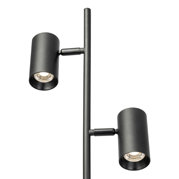 Торшер Twin CL809011N