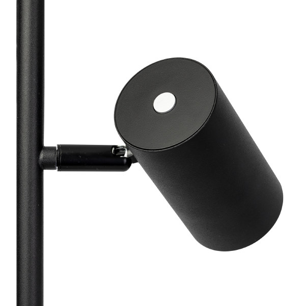 Торшер Twin CL809011N