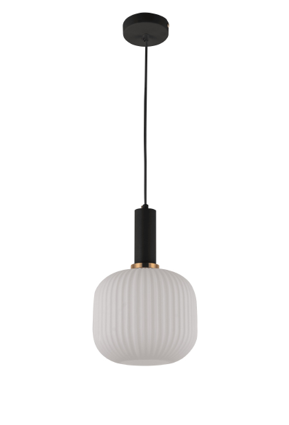 Светильник подвесной Gato LDP 1217-1 WT+BK