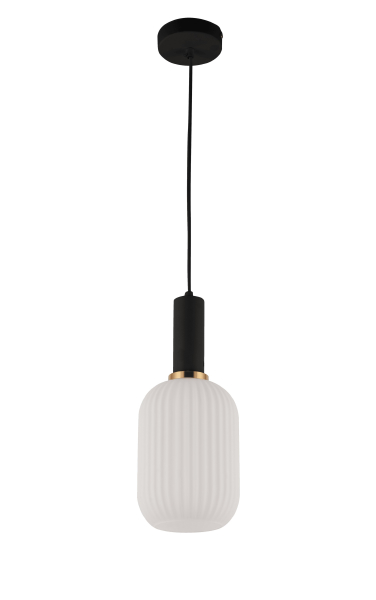 Светильник подвесной Rico LDP 1218-1 WT+BK