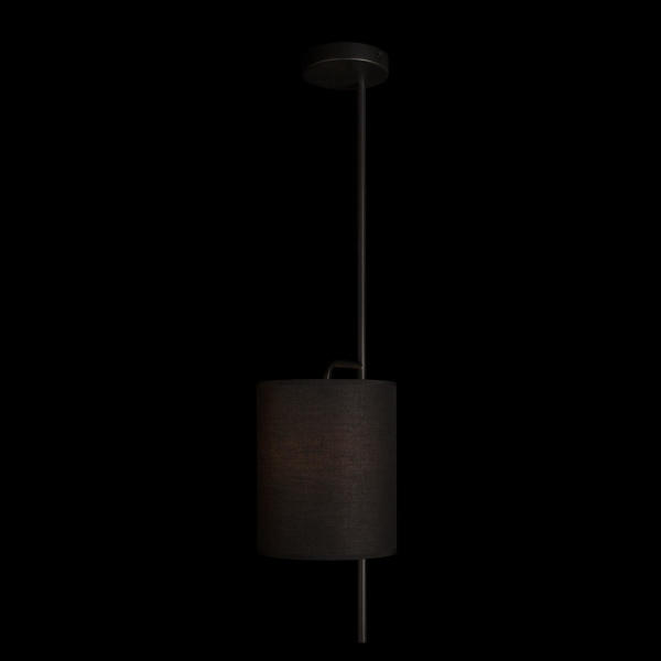 Светильник потолочный Ritz 10253P Black