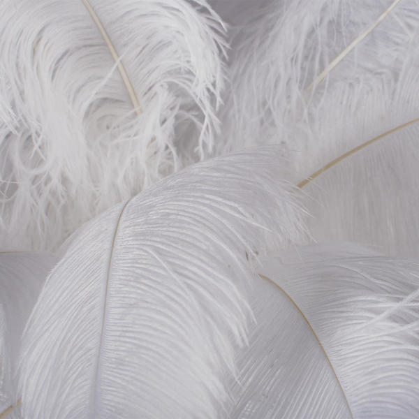 Торшер Bijout 10067F/SG White
