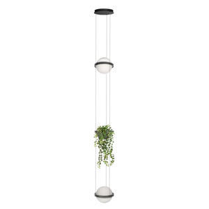 Светильник подвесной Jardin 10121/2P Dark grey