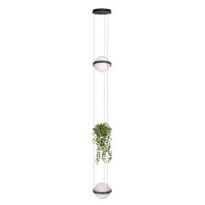 Светильник подвесной Jardin 10121/2P Dark grey