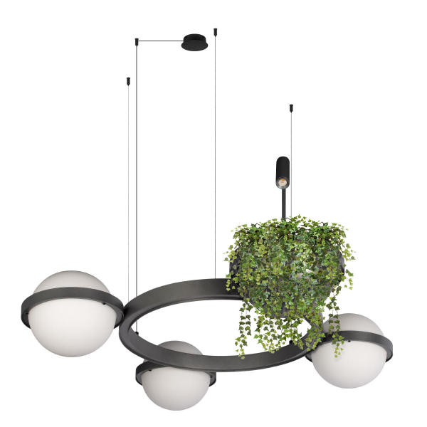 Подвесная люстра Jardin 10121/3 Dark grey