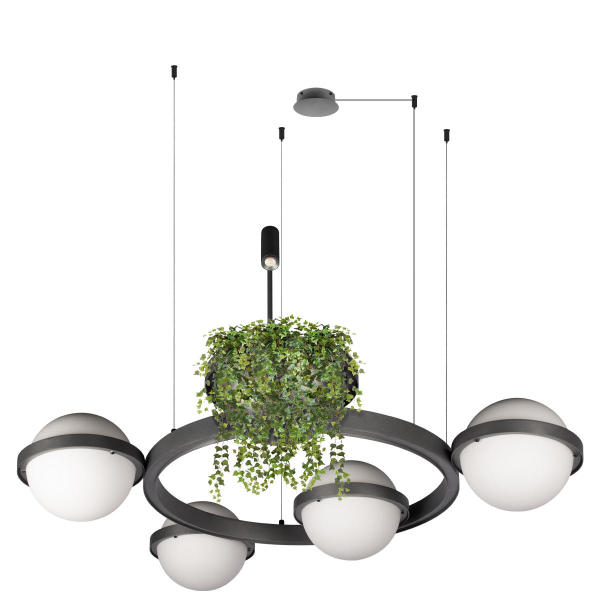 Подвесная люстра Jardin 10121/4 Dark grey