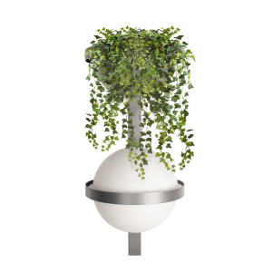 Настенный светильник Jardin 10121W/B Dark grey