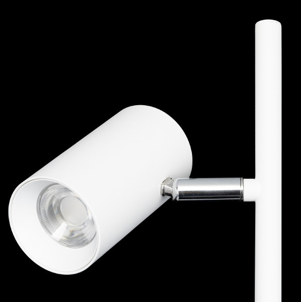 Торшер Twin CL809010N