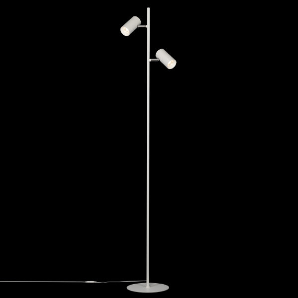 Торшер Twin CL809010N