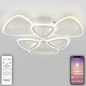 Потолочная люстра LEDLIGHT LED LAMPS 81127/5C