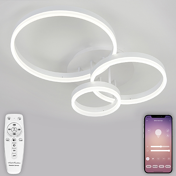 Потолочная люстра LEDLIGHT LED LAMPS 81172