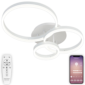 Потолочная люстра LEDLIGHT LED LAMPS 81172