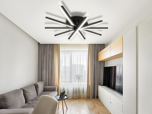 Потолочная люстра LEDLIGHT LED LAMPS 81174