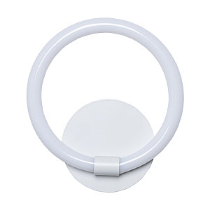 Настенный светильник Толедо 312024101