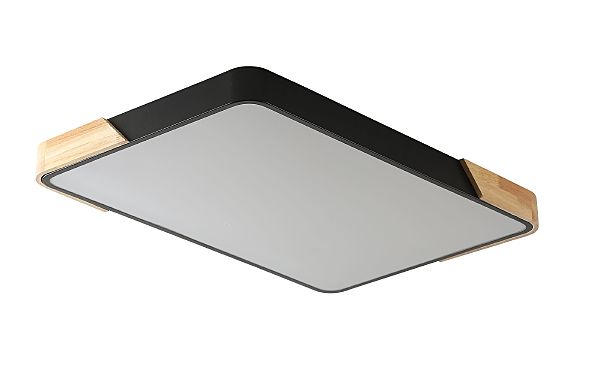 Светильник потолочный Alberro ZRS.01233.60