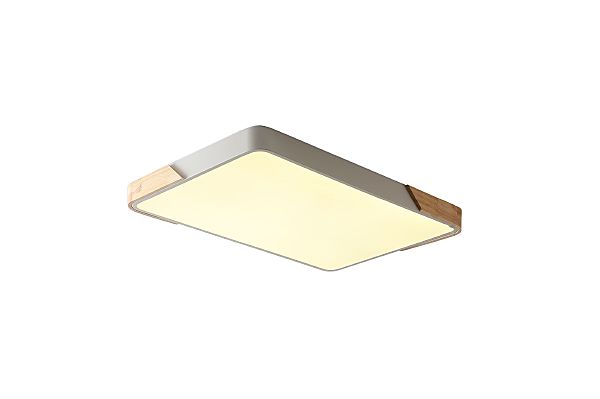 Светильник потолочный Alberro ZRS.01233.60