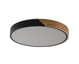 Светильник потолочный Alberro ZRS.01237.90