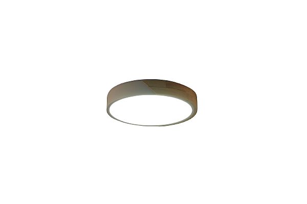 Светильник потолочный Alberro ZRS.01239.90