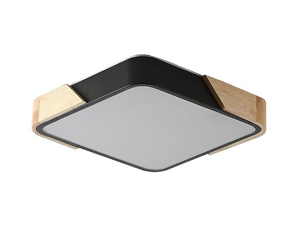 Светильник потолочный Alberro ZRS.01281.24