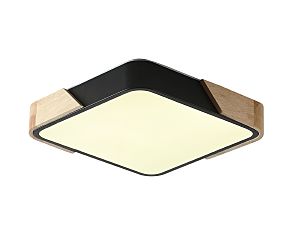 Светильник потолочный Alberro ZRS.01281.24