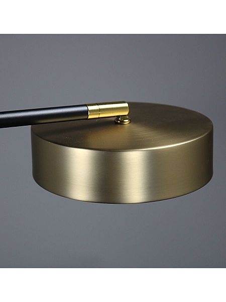 Люстра на штанге Lunar ZRS.01243.06