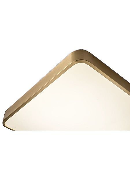 Светильник потолочный Monna ZRS.1209.03