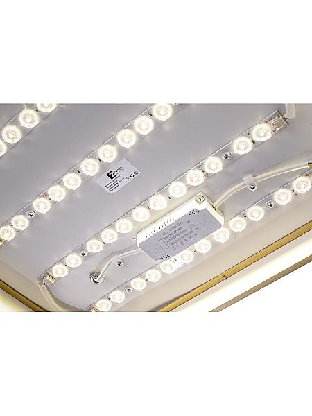 Светильник потолочный Monna ZRS.1209.03