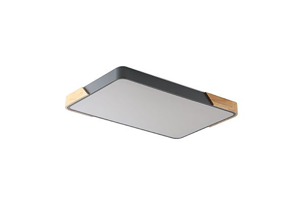 Светильник потолочный Alberro ZRS.01277.60