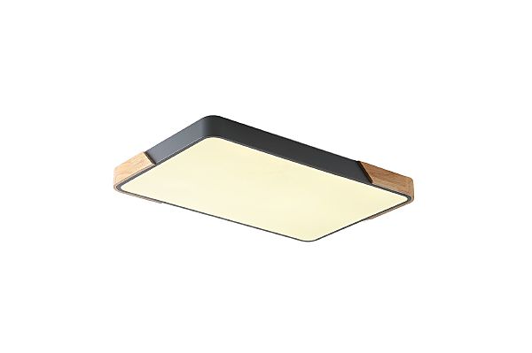 Светильник потолочный Alberro ZRS.01277.60