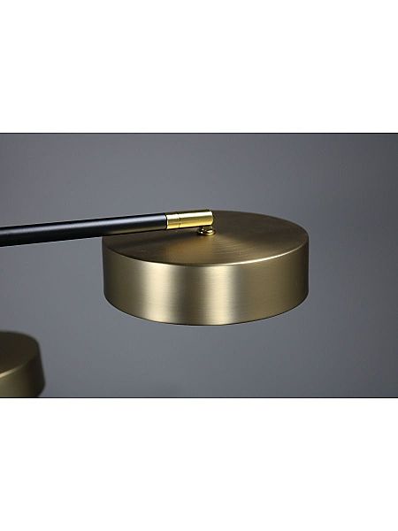 Люстра на штанге Lunar ZRS.01243.08