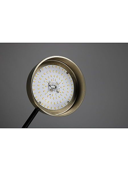 Люстра на штанге Lunar ZRS.01243.08