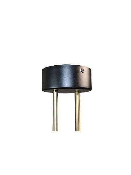 Потолочная люстра Lunar ZRS.1805.06
