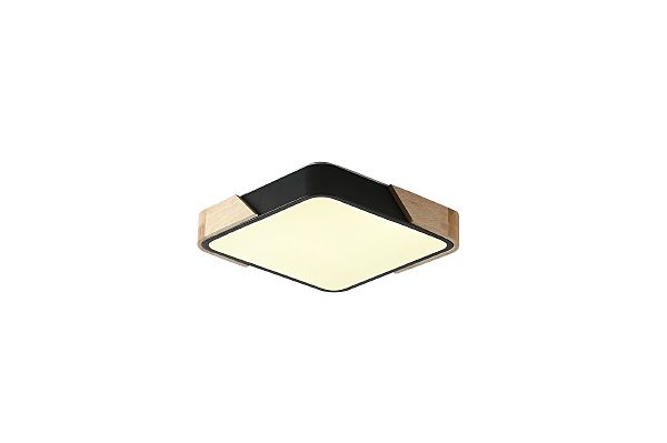 Светильник потолочный Alberro ZRS.01281.60