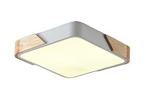 Светильник потолочный Alberro ZRS.01285.36