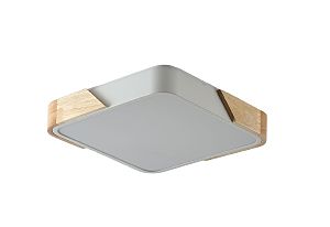 Светильник потолочный Alberro ZRS.01285.48