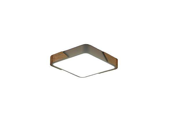 Светильник потолочный Alberro ZRS.01285.60