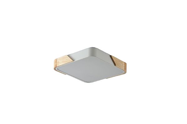 Светильник потолочный Alberro ZRS.01285.60