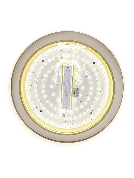 Светильник потолочный Adel ZRS.1200.01