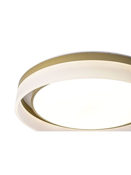 Светильник потолочный Adel ZRS.1200.01