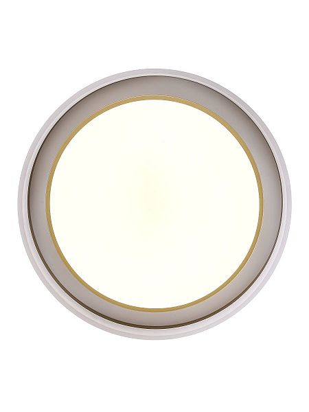 Светильник потолочный Adel ZRS.1200.01