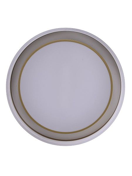 Светильник потолочный Adel ZRS.1200.01