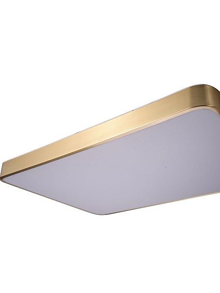 Светильник потолочный Monna ZRS.1209.09