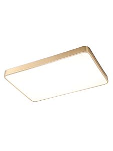 Светильник потолочный Monna ZRS.1209.09